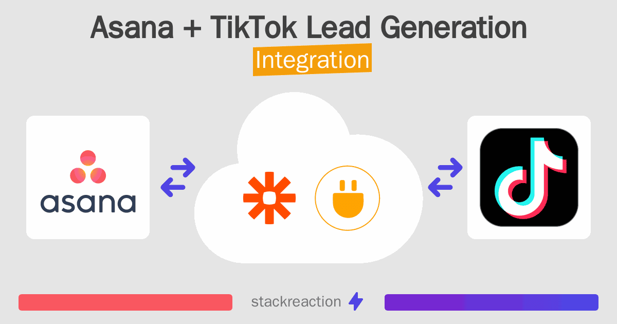 Asana and TikTok Lead Generation Integration