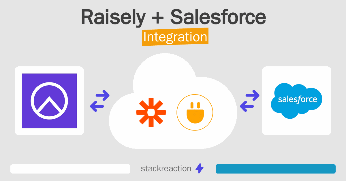 Raisely and Salesforce Integration
