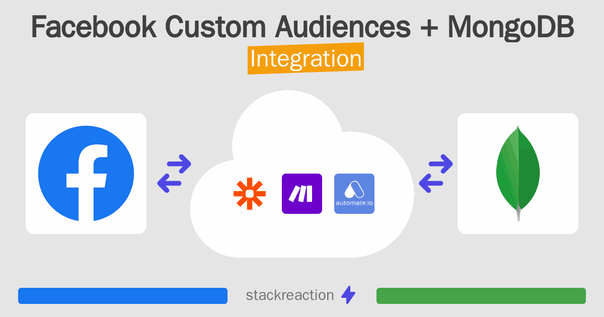 Facebook Custom Audiences and MongoDB Integration