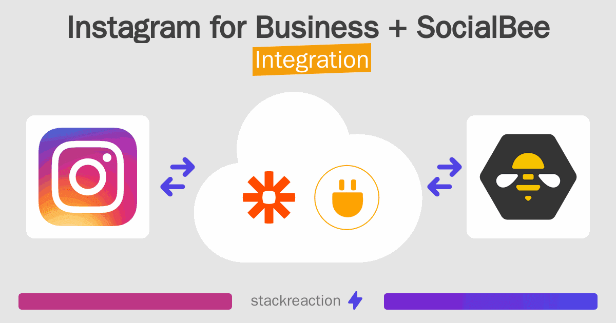 Instagram for Business and SocialBee Integration