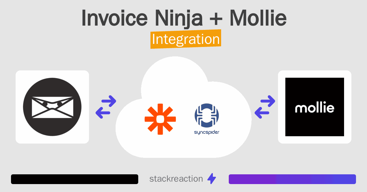 Invoice Ninja and Mollie Integration