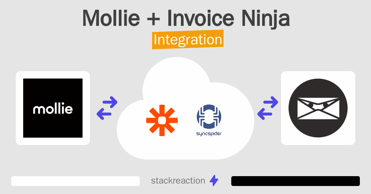 Mollie and Invoice Ninja Integration
