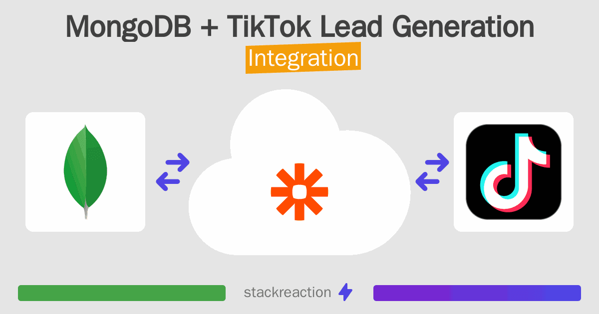 MongoDB and TikTok Lead Generation Integration