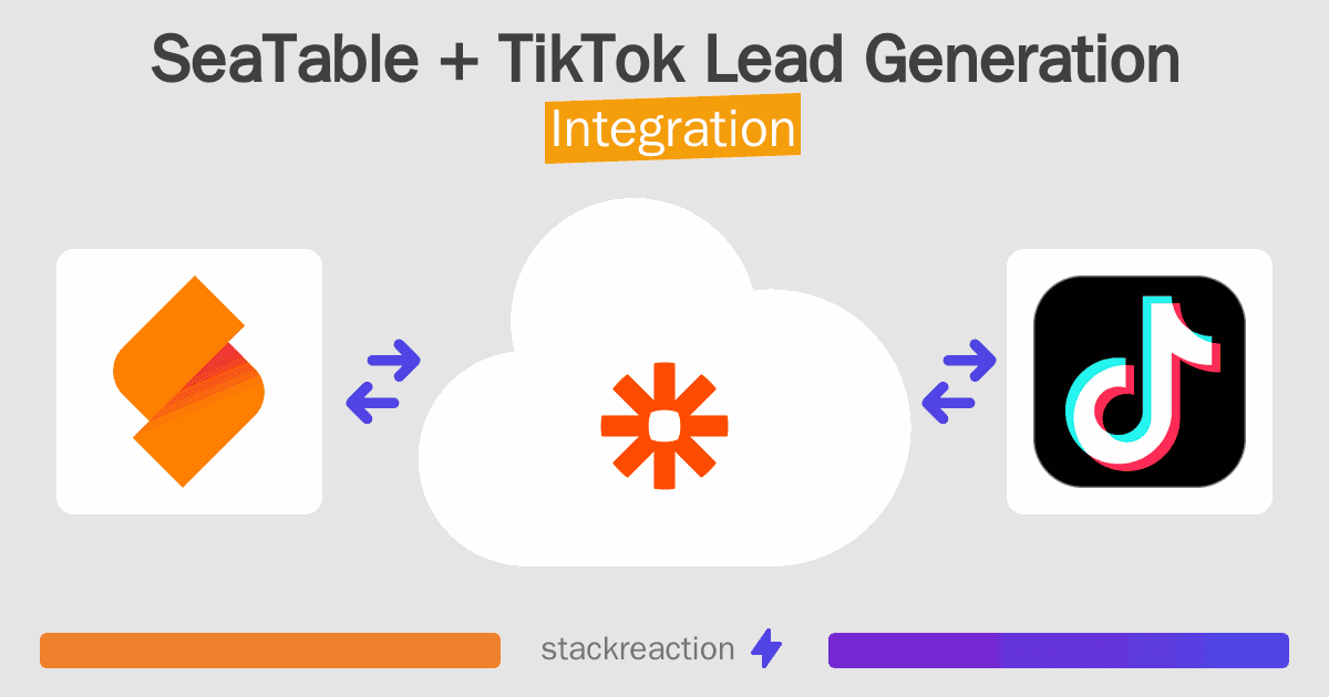 SeaTable and TikTok Lead Generation Integration