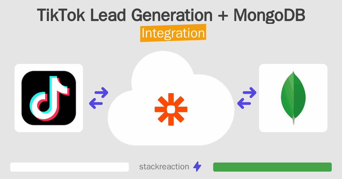 TikTok Lead Generation and MongoDB Integration