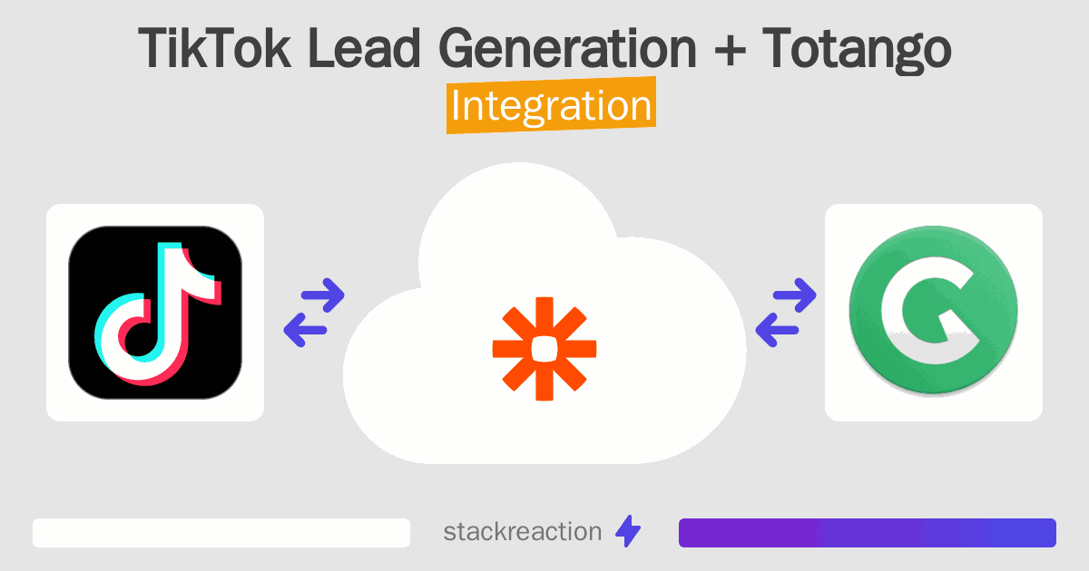 TikTok Lead Generation and Totango Integration
