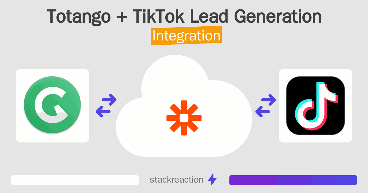 Totango and TikTok Lead Generation Integration