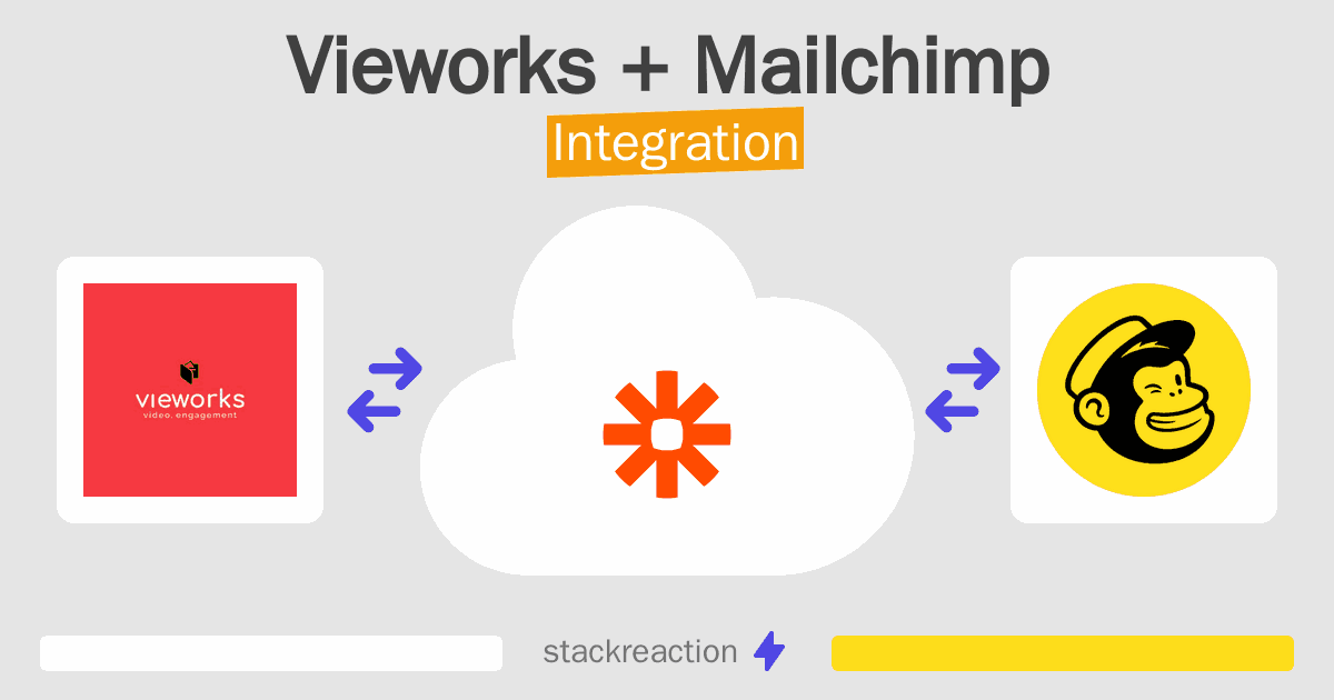 Vieworks and Mailchimp Integration